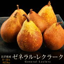 洋なし 西洋梨 岩手産 ゼネラルレクラーク 7〜10玉 約2...