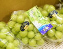 大房 晴王 岡山県産シャインマスカット 1房 約600g 簡易箱 多少のキズ・スレ等あり ※冷蔵 送料無料