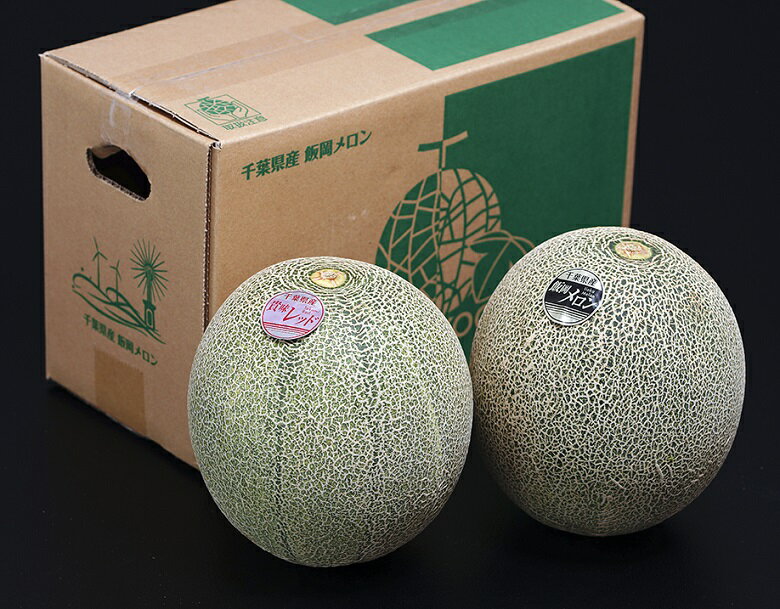 『向後一洋さんの飯岡メロン』 赤肉タカミ・青肉タカミセット 5Lサイズ以上 各約1.5kg 合計3kg 千葉県産※常温・送料無料のサムネイル