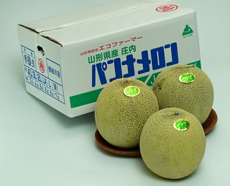 山形県　庄内産　パンナメロン（青肉）　風袋込 約5kg 大玉 3〜4玉　※常温 送料無料のサムネイル