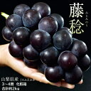 JAふえふき 藤稔(ふじみのり) 山梨県産ぶどう 風袋込 約2kg(3~4房 )化粧箱 ※冷蔵 送料無料