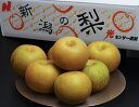 糖度13.5度以上 一糖賞 幸水梨 新潟県産 約2.4kg(5~9玉)簡易箱 ※冷蔵 JA新潟かがやき 送料無料