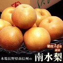 糖度14度選別 南水梨 長野県産 約2.5kg(4~8玉)簡易箱 (等級:太鼓判・優糖生など)※冷蔵 送料無料