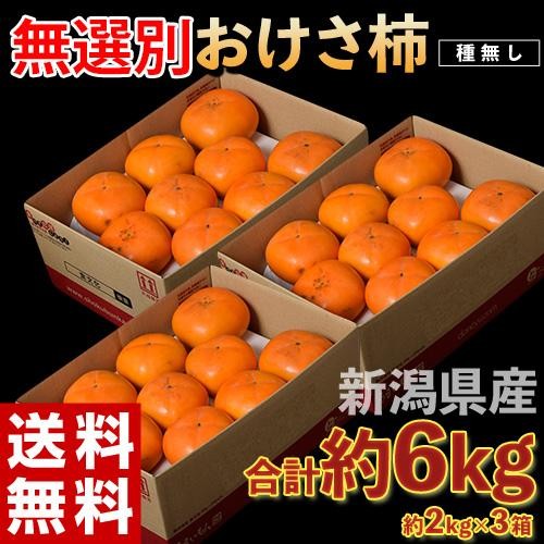 『種無しおけさ柿』新潟県産 計6kg 約2kg×3箱 (1箱：目安として8～12玉) 簡易包装 送料無料