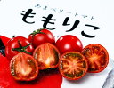 【1箱】糖度10度以上 ももりこトマト 徳島県産　特選 S〜L 約1kg（18～24玉）化粧箱 樫山農園　風袋込 ※冷蔵