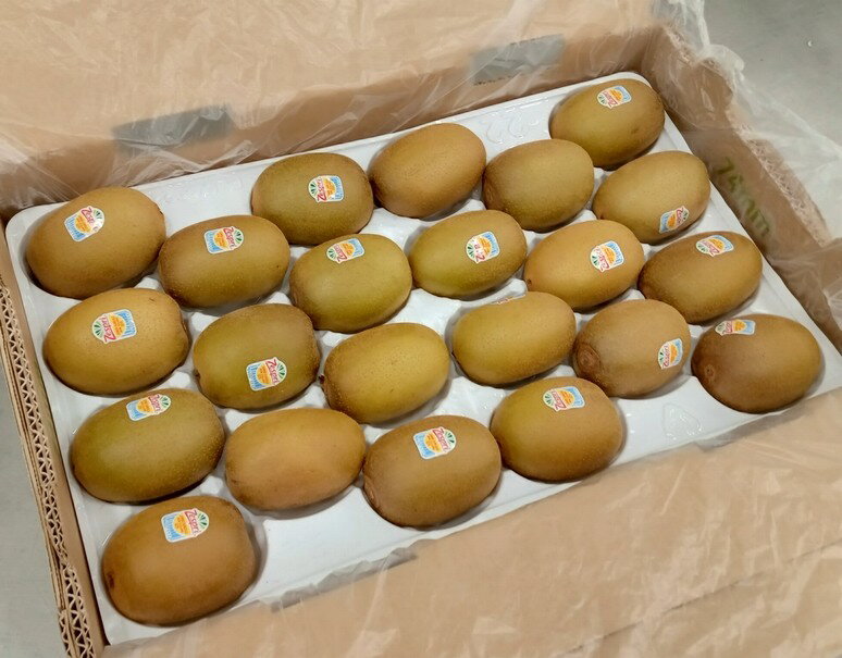 大玉　ゼスプリ　ゴールドキウイ 22玉入　約3.2kg オーガニック　ニュージーランド産　※常温　送料無料のサムネイル