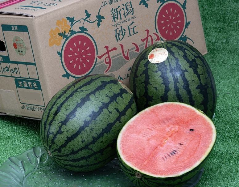 Niigata ルビームーン 新潟県産 小玉 すいか 約10kg（4玉）産地箱 風袋込※常温 新潟西小玉すいか部会 送料無料のサムネイル