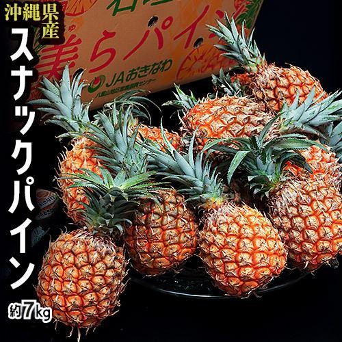 『完熟 沖縄パインアップル（スナックパイン）』沖縄県産 M～2L 計約7kg（8～12玉）産地箱 風袋込 ※冷蔵　送料無料