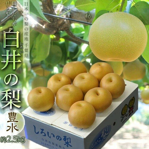 しろいの梨（豊水） 千葉県白井市産 約2.5kg （7～9玉）産地箱 ※冷蔵 送料無料のサムネイル