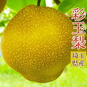 彩玉梨(さいぎょくなし) 埼玉県産 約2.3kg(3~6玉)簡易箱 ※冷蔵 送料無料