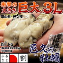 《送料無料》岡山・邑久産 『超巨大カキ（ムキ身）』3Lサイズ　約1kg(解凍後約800g) ※冷凍　加熱調理用　牡蠣（かき/カキ）sea　☆