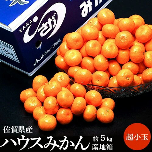 ハウスみかん 佐賀県産 JAからつ 約5