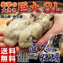 《送料無料》旅サラダで紹介 岡山・邑久産 『超巨大カキ（ムキ身）』　 3Lサイズ　約1kg（解凍後約800g）　※冷凍　加熱調理用　牡蠣（かき/カキ）　sea　☆