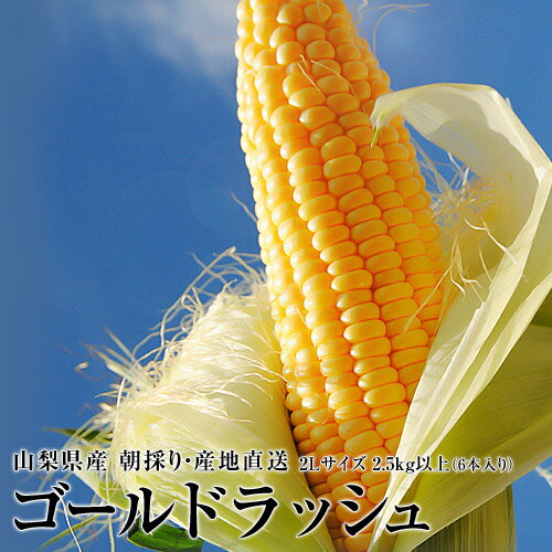 最盛期　とうもろこし ゴールドラッシュ 山梨県産　JAふえふき 2Lサイズ 2.5kg以上（6本入り）※冷蔵