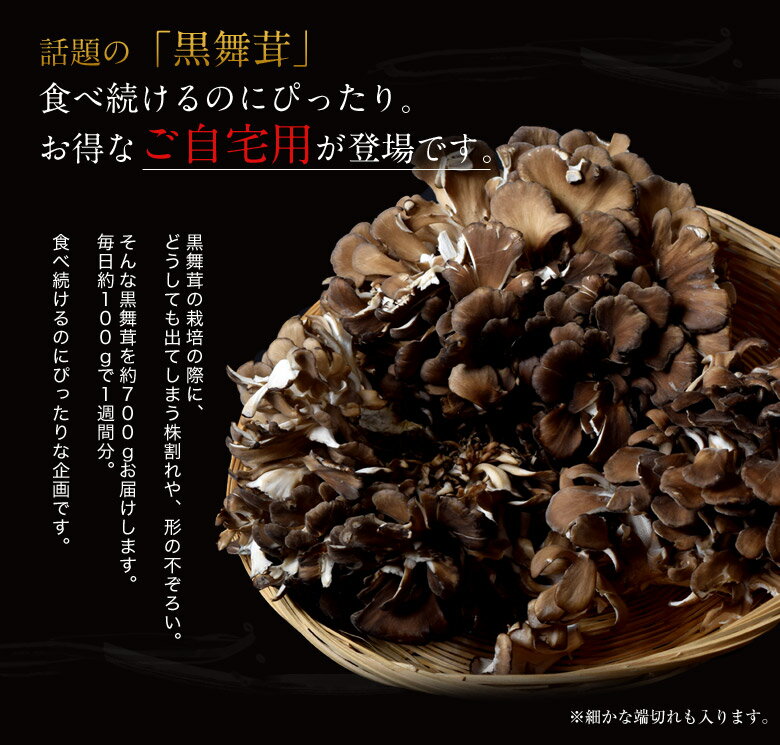 まいたけ マイタケ 黒まいたけ 新潟県南魚沼産 黒舞茸『真』ご家庭用 大平きのこ研究所 大平洋一 約700g 冷蔵