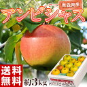 りんご 青森県産 「アンビシャス」約3kg(9〜12玉) リンゴ サンフジ 林檎 果物 フルーツ ギフト 贈り物 通販 プレゼント お取り寄せ お礼 お返し お...