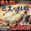 岡山・邑久産 『超巨大カキ（ムキ身）』　 3Lサイズ　約1kg（解凍後約800g）　※冷凍　加熱調理用　牡蠣（かき/カキ） sea　☆