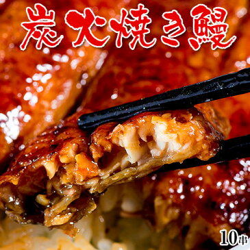 ≪送料無料≫宮崎県産炭火焼き鰻　八本木樽醤油タレ　100g×10串　（ウナギ／うなぎ／父の日／お中元）　※冷凍 sea ☆