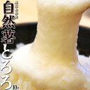 自然薯 とろろ 鹿児島県産 40g 10パック セット じねんじょ 山芋 国産 小分け パック 簡単 とろろご飯 とろろそば 蕎麦 冷凍 同梱可能