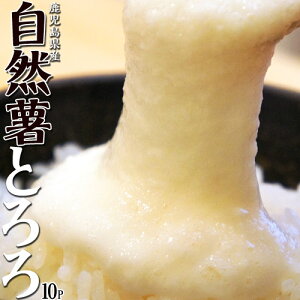 自然薯 とろろ 鹿児島県産 40g×10パック セット じねんじょ 山芋 国産 小分け パック 簡単 とろろご飯 とろろそば 蕎麦 冷凍 同梱可能
