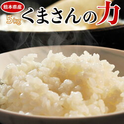 お米 5kg 熊本県産『くまさんの力』白米5kg おこめ 米 白米 ご飯 送料無料 常温 ○