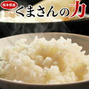 お米 5kg 熊本県産『くまさんの力』白米5kg おこめ 米 白米 ご飯 送料無料 常温 ○