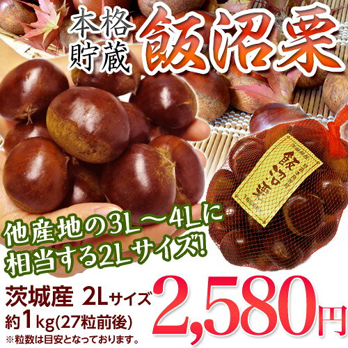 栗 くり クリ 茨城県産 飯沼栗 2Lサイズ 約1kg (目安 27粒前後) ※冷蔵のサムネイル