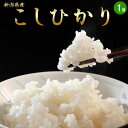 お米 5kg 新潟県産「コシヒカリ」白米5kg おこめ 米 白米 ご飯 こしひかり 送料無料 ○