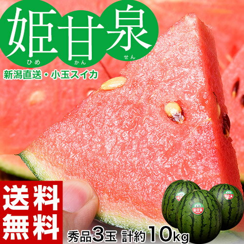 スイカ 新潟県産 すいか 小玉 姫甘泉 （ひめかんせん） 秀品 3玉（1玉あたり約3kg） 送料無料　※常温