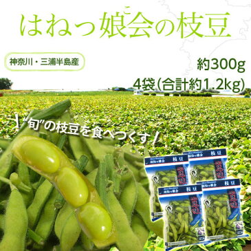 神奈川県　三浦半島産 『はねっ娘会の枝豆』 約300g×4袋（合計約1.2kg）※冷蔵　○