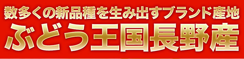 長野県産 ぶどう シャインマスカット 2房 計約800g 送料無料 ギフト