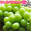 ぶどう ブドウ 葡萄 長野県産 シャインマスカット 2房 計約800g 送料無料