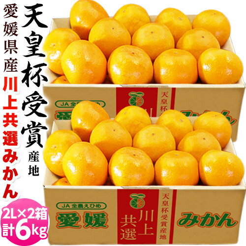 川上みかん|愛媛のブランドみかん!人気の美味しい川上みかんの通販