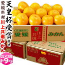 【天皇杯受賞産地】JAにしうわ 愛媛 西宇和産 川上みかん 大玉2Lサイズ 約3kg×3箱 産地直送 送料無料 ギフト お歳暮 みかん 送料無料