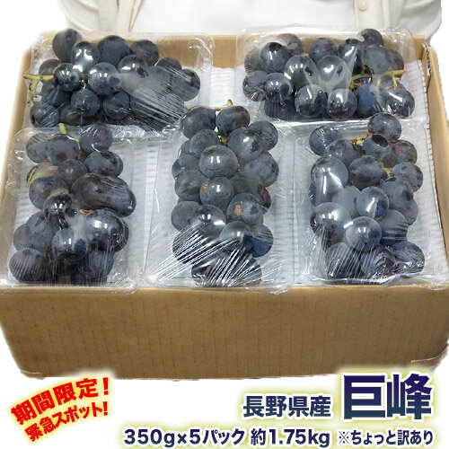 長野県産　巨峰 約350g×5パック 約1.75kg ちょっと訳あり ※常温 送料無料のサムネイル