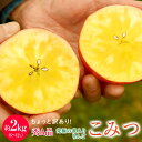 りんご こみつ 青森県産 ちょっと訳あり こみつりんご 6〜...