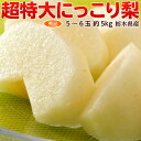 梨 送料無料 栃木県産「にっこり梨」秀品 5〜6玉 約5kg...