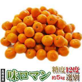 自宅用白箱【糖度12度選別】極甘みかん JA長崎せいひ 『味ロマン』 2S～Lサイズ 約5kg　簡易箱入 多少のキズ有　※常温　送料無料