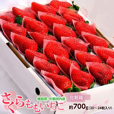 いちご 送料無料 徳島県佐那河内産「さくらももいちご」化粧箱 28粒 約700g ※冷蔵
