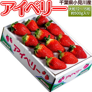 【千葉いちご】千葉県産の甘くて美味しい苺のおすすめは？