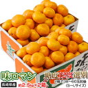 みかん 送料無料 長崎県産みかん 味ロマン 約2.5kg (...