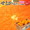 せとか 柑橘 みかん ミカン 蜜柑 長崎産 せとか バラ詰 ...