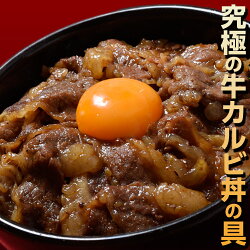 ご飯のお供 送料無料 『牛カルビ丼の具』1食100g×10食セット ご飯のおとも ごはんのおとも お弁当 お昼ご飯 夜食 冷凍食品 冷凍