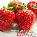 いちご イチゴ 福岡県産 あまおう G(グランデ) 約270...