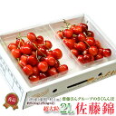 山形県産 さくらんぼ 齋藤さんグループの超大粒 佐藤錦 2L 約500g(約250g×2P) 化粧箱入 送料無料 山形直送 ギフト ※6月中旬〜7月上旬出荷 frt ○