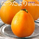 大粒 3～5L びわ なつたより 長崎県産 秀品 約1kg 12～16玉入 ※冷蔵　びわ