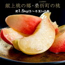 献上桃の郷 福島県桑折町産 特選 「雅」 約1.5kg(5〜6玉)×2箱 ※常温 JAふくしま未来 送料無料