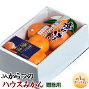 みかん 佐賀県産 JAからつのハウスみかん 約1kg(11〜...