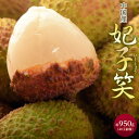 『妃子笑(ひししょう)』中国産グリーンライチ 約950g 40玉前後 ※冷蔵 送料無料