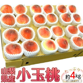 ご家庭用「小玉桃」山梨県産 約4kg（20～28玉）産地箱 ※常温 送料無料